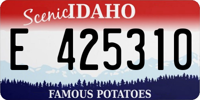 ID license plate E425310