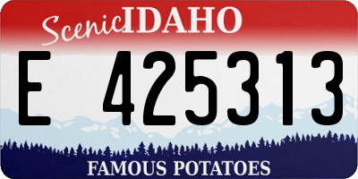 ID license plate E425313