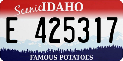 ID license plate E425317