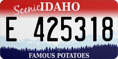ID license plate E425318