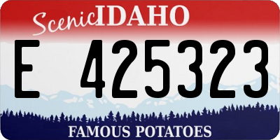 ID license plate E425323