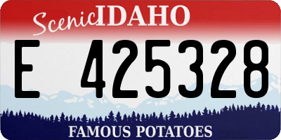 ID license plate E425328