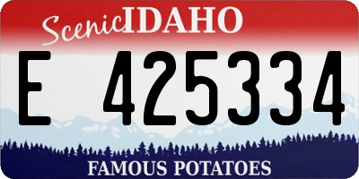 ID license plate E425334