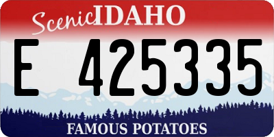 ID license plate E425335