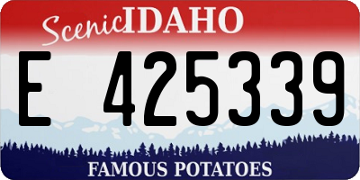 ID license plate E425339