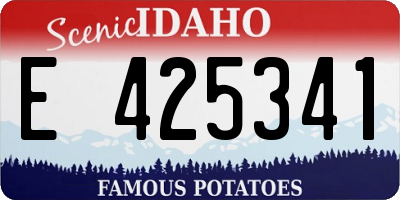 ID license plate E425341