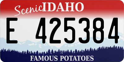 ID license plate E425384