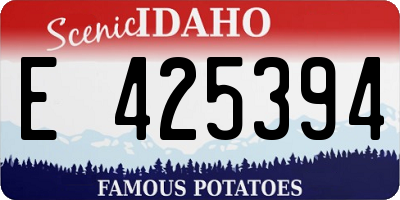 ID license plate E425394