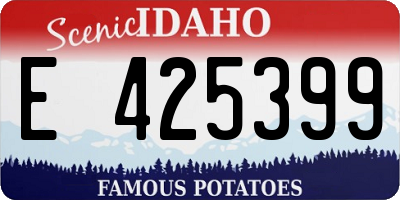 ID license plate E425399