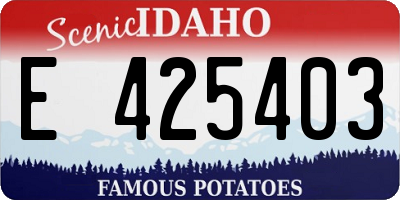 ID license plate E425403