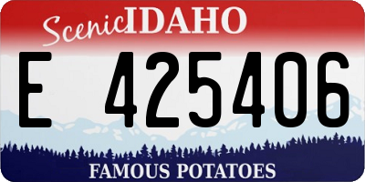 ID license plate E425406