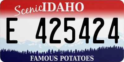 ID license plate E425424