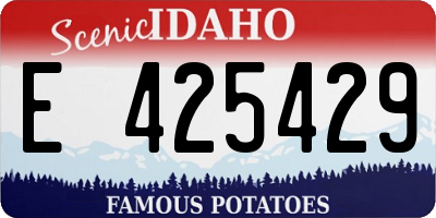 ID license plate E425429