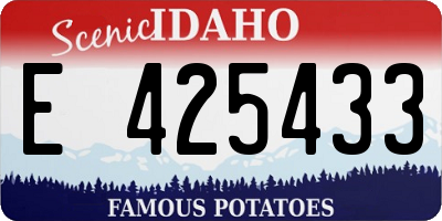 ID license plate E425433