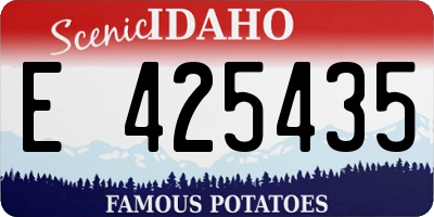 ID license plate E425435