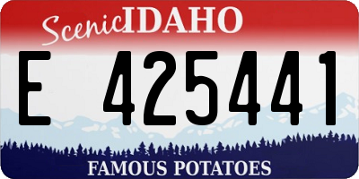 ID license plate E425441