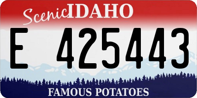 ID license plate E425443