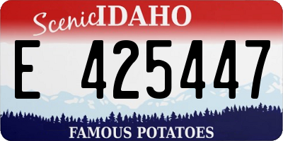 ID license plate E425447