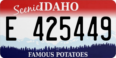 ID license plate E425449