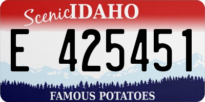 ID license plate E425451