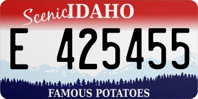 ID license plate E425455