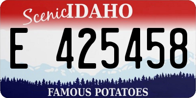 ID license plate E425458