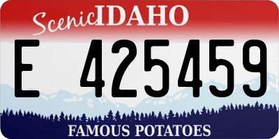 ID license plate E425459