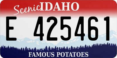 ID license plate E425461