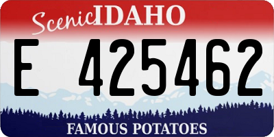 ID license plate E425462