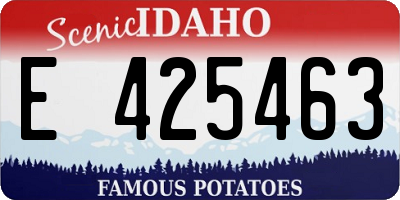 ID license plate E425463