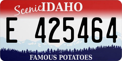 ID license plate E425464