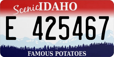 ID license plate E425467