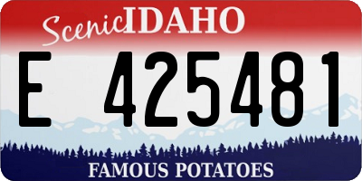 ID license plate E425481