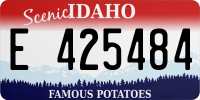 ID license plate E425484