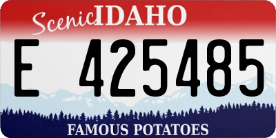 ID license plate E425485