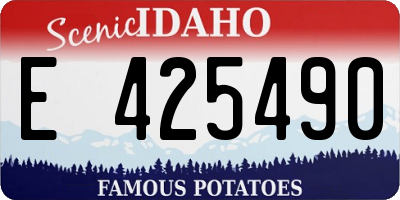 ID license plate E425490
