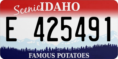 ID license plate E425491