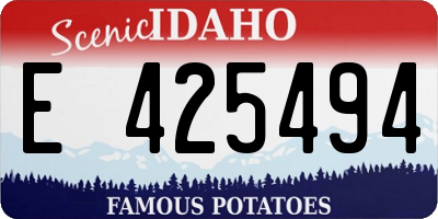 ID license plate E425494