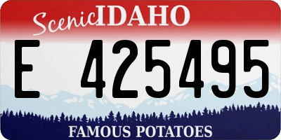 ID license plate E425495