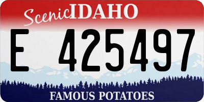 ID license plate E425497