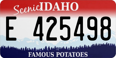 ID license plate E425498