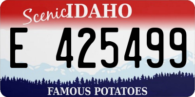 ID license plate E425499