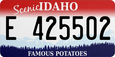 ID license plate E425502