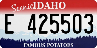 ID license plate E425503