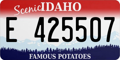 ID license plate E425507