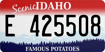 ID license plate E425508