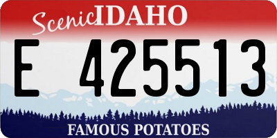 ID license plate E425513
