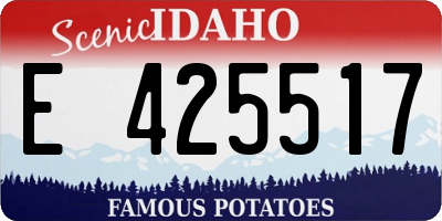 ID license plate E425517
