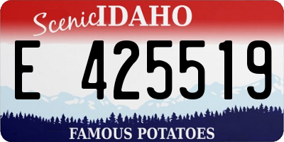ID license plate E425519