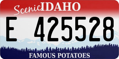 ID license plate E425528